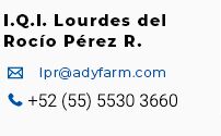 I.Q.I. Lourdes del Rocío Pérez R.