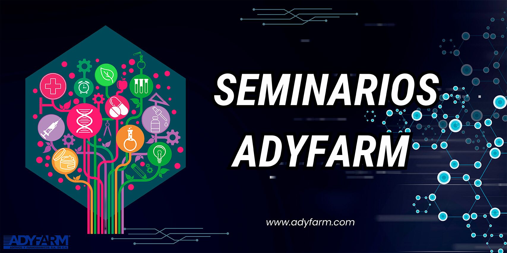 Seminarios