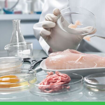 Alimentos