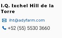 I.Q. Ixchel Hill de la Torre