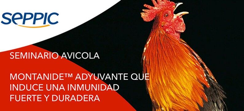 Seminario Avícola MONTANIDE™